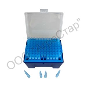 editor29091