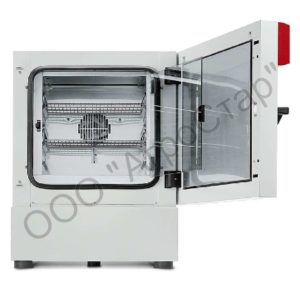 editor25156