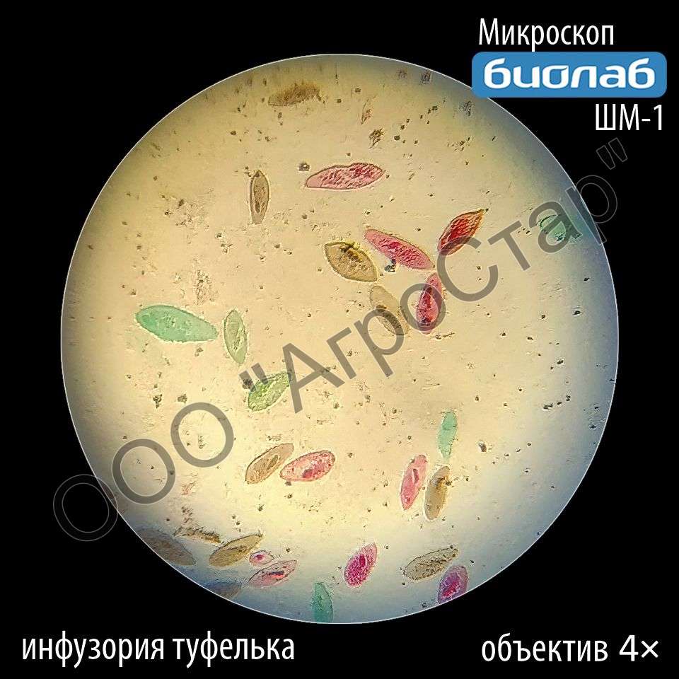 editor10640
