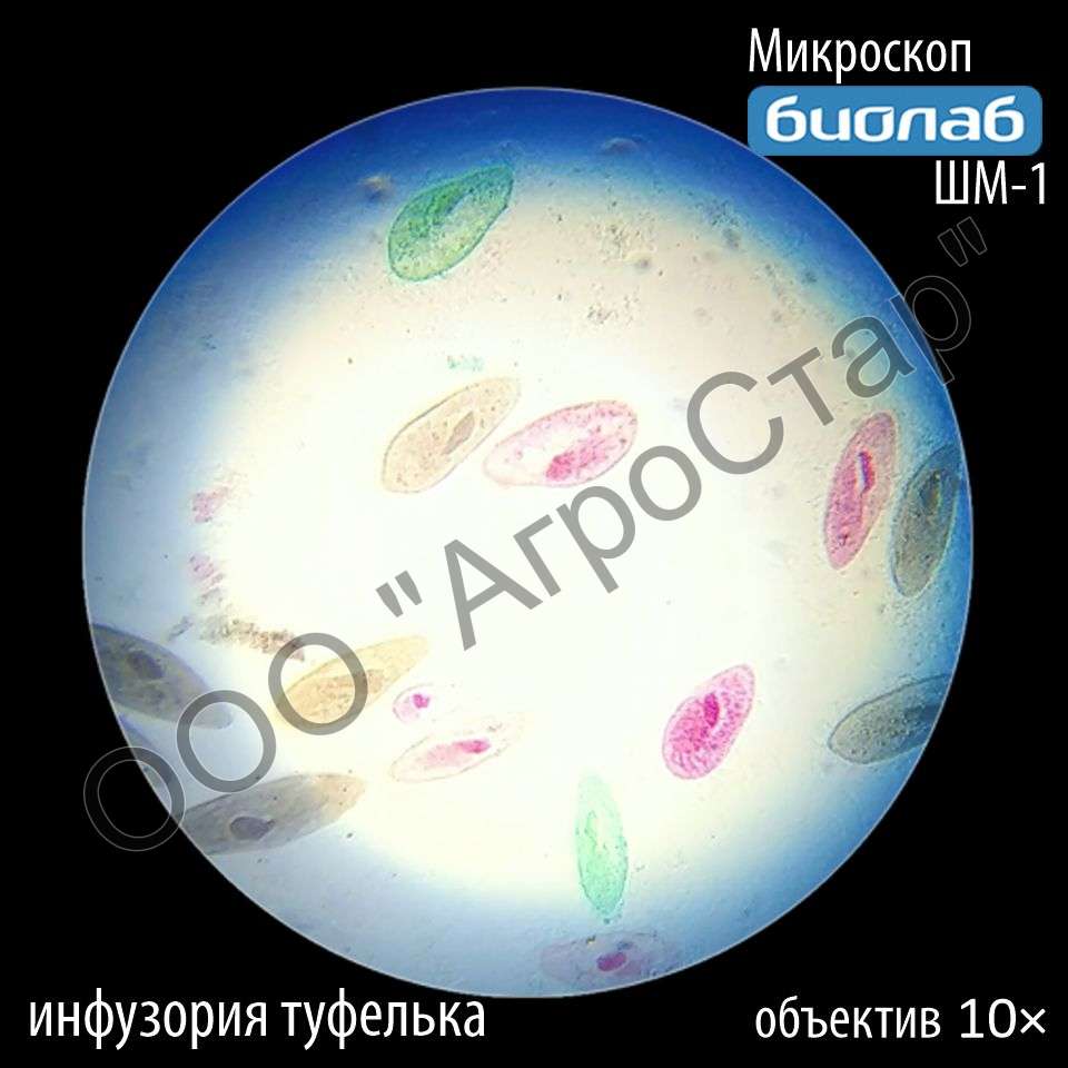 editor10641