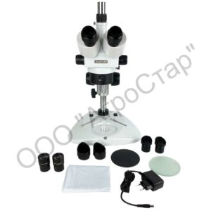 editor24049 editor24049