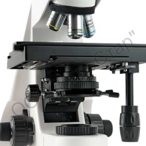 editor25930