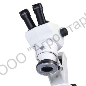 editor4900