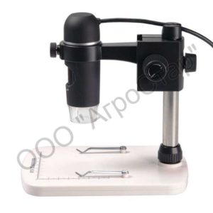editor12500