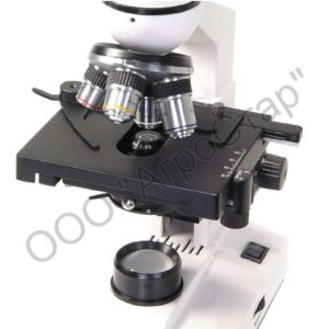 editor25457 editor25457