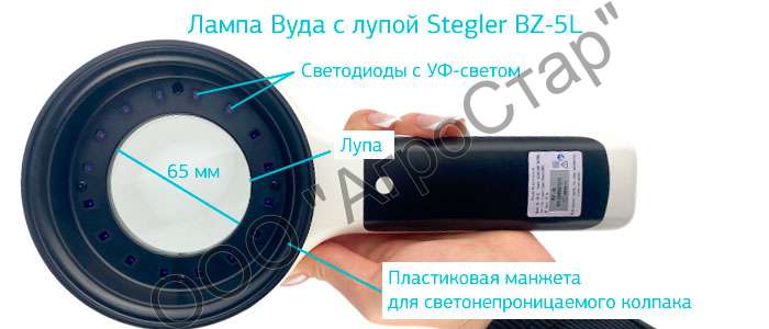 29fbf410877140128f3ba6d38c0782f1