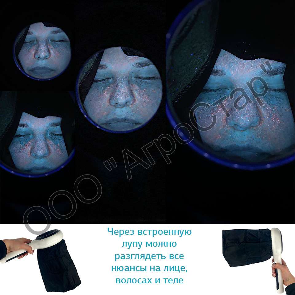 bz-5l-gallery-2