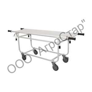 editor36795