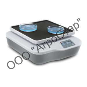 editor31071