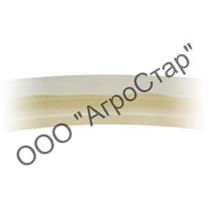 editor35877 editor35877
