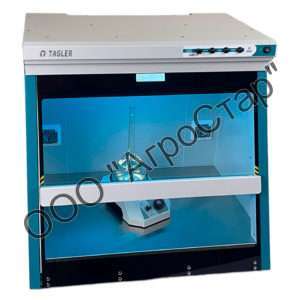 editor20037
