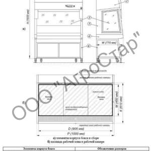 editor21502