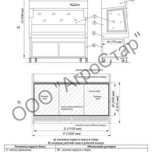 editor21548