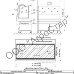 editor21551