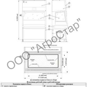 editor21613