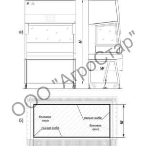 editor21617