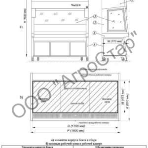 editor21646