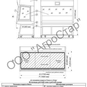 editor21649