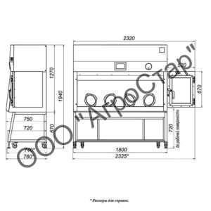 editor21685