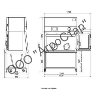 editor21688