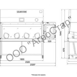 editor21691