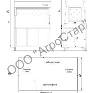 editor21770