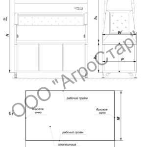 editor21776
