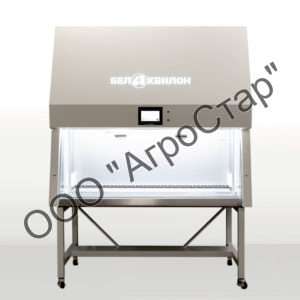 editor38381
