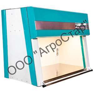 editor16999