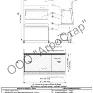 editor21658