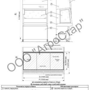 editor21661
