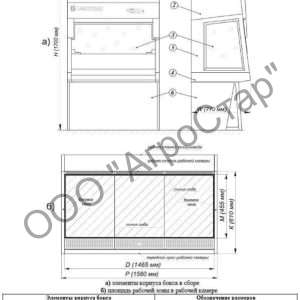 editor21670