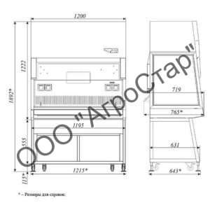 editor21794