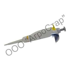editor36309